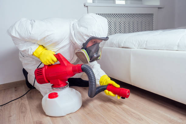 Reliable Hartford, CT Pest Control Solutions