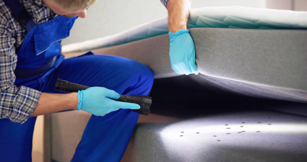 Best Commercial Pest Control Services  in Hartford, CT
