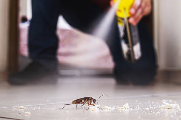 Best Exterminator Services  in Hartford, CT