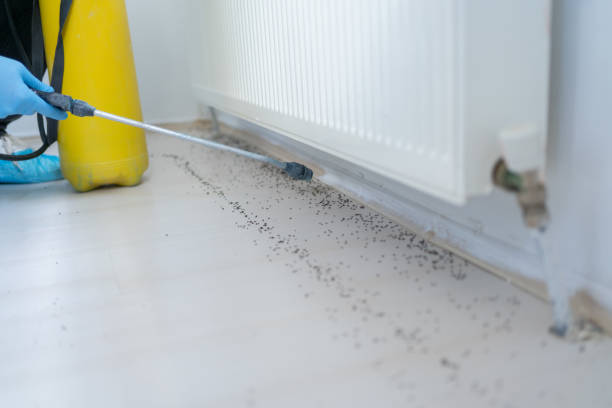 Best Insect Control  in Hartford, CT